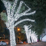 Pisca Pisca 100 mini lampadas 10 Metros