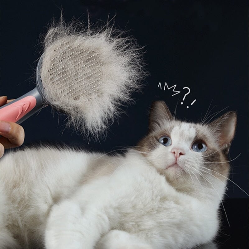 Escova Removedora de Pelos Escova para pet Superfacilita 